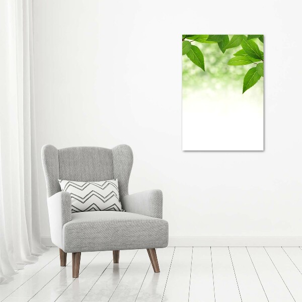 Verticale foto op canvas Groene bladeren