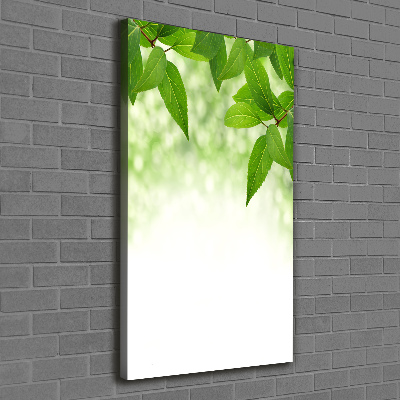 Verticale foto op canvas Groene bladeren