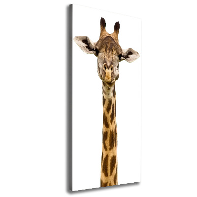 Verticale foto op canvas Giraffe