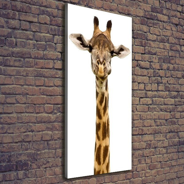 Verticale foto op canvas Giraffe