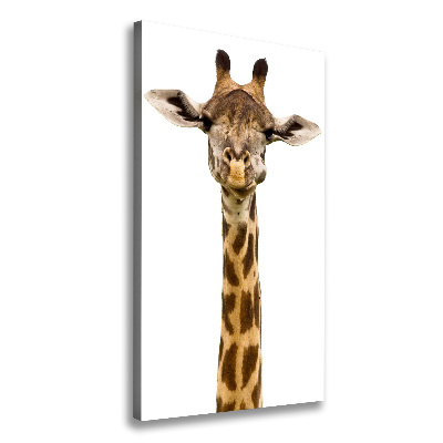Verticale foto op canvas Giraffe