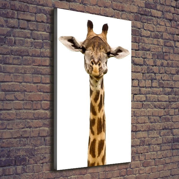 Verticale foto op canvas Giraffe