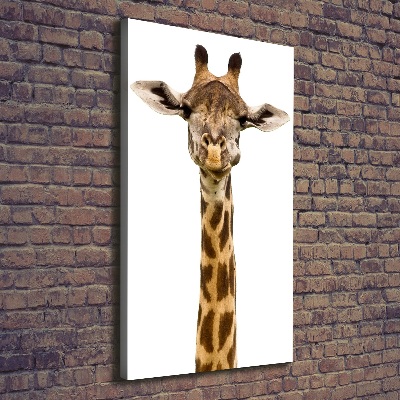 Verticale foto op canvas Giraffe