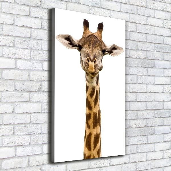 Verticale foto op canvas Giraffe