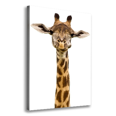Verticale foto op canvas Giraffe