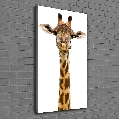 Verticale foto op canvas Giraffe
