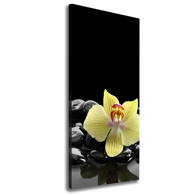 Verticaal schilderij op canvas Orchidee en stenen
