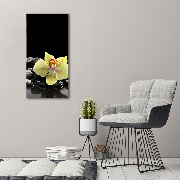 Verticaal schilderij op canvas Orchidee en stenen