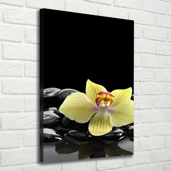 Verticaal schilderij op canvas Orchidee en stenen