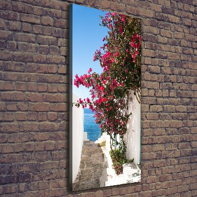 Verticale foto op canvas Griekse straten