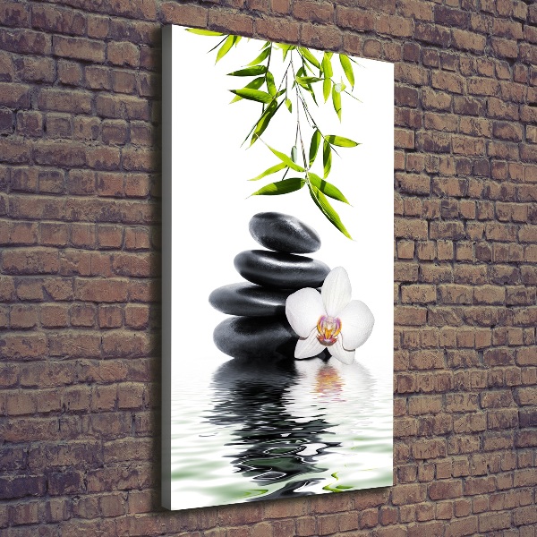 Verticale canvasfoto Orchidee en stenen
