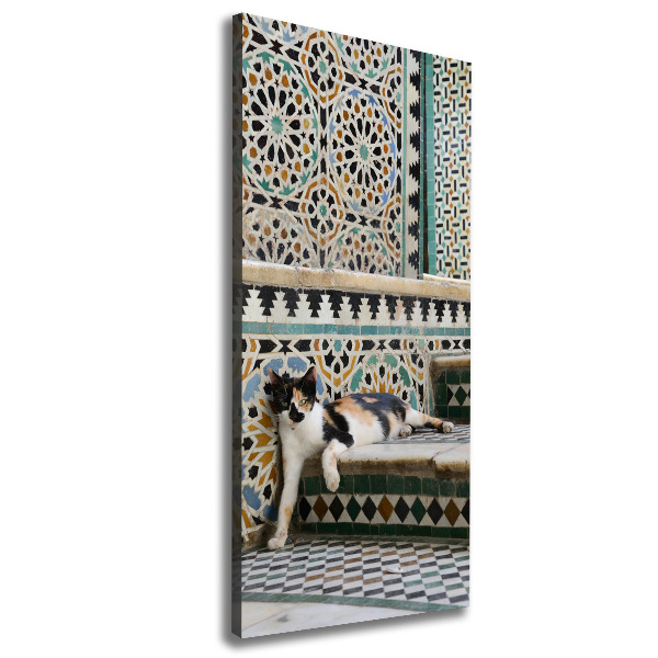 Verticale canvasfoto Een kat in Marokko