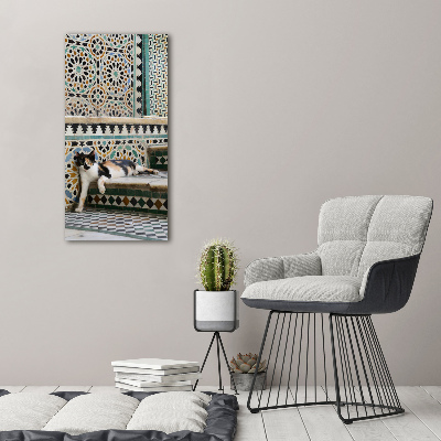 Verticale canvasfoto Een kat in Marokko