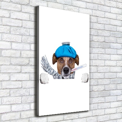 Verticale canvasfoto Zieke hond
