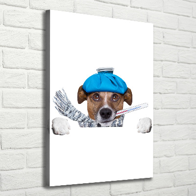 Verticale canvasfoto Zieke hond