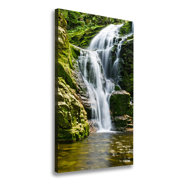 Verticale canvasfoto Waterval