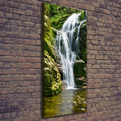 Verticale canvasfoto Waterval