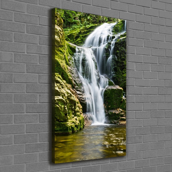 Verticale canvasfoto Waterval