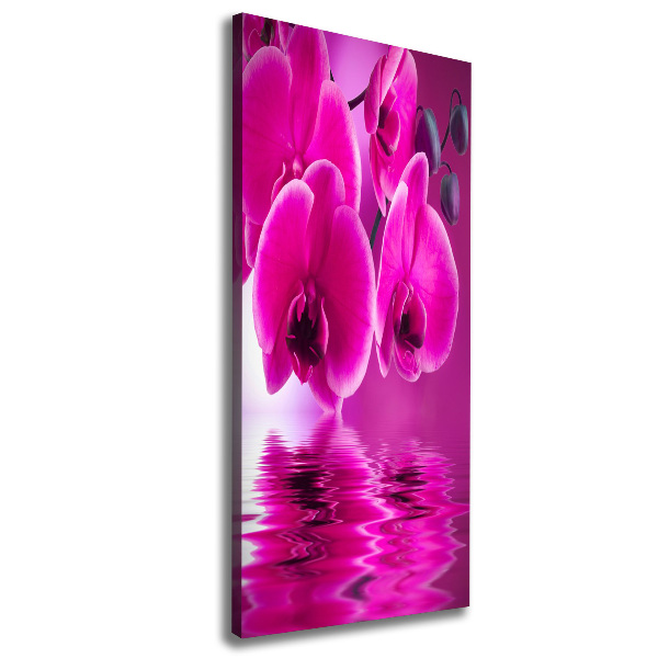 Verticale foto op canvas Roze orchidee