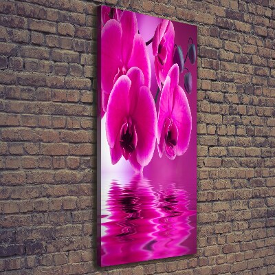 Verticale foto op canvas Roze orchidee