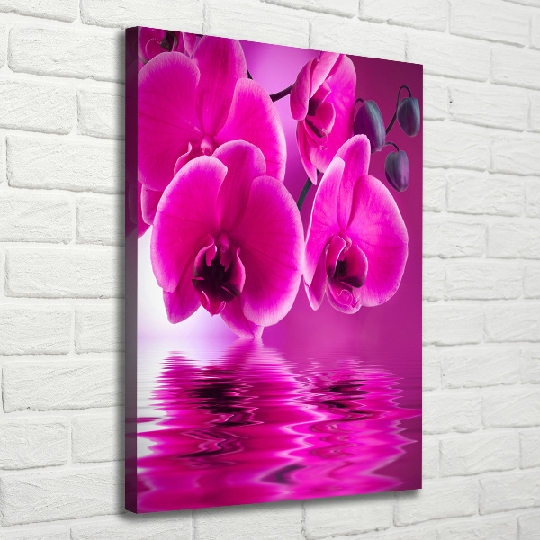 Verticale foto op canvas Roze orchidee