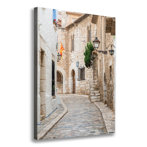 Verticaal canvasschilderij Straten in Spanje