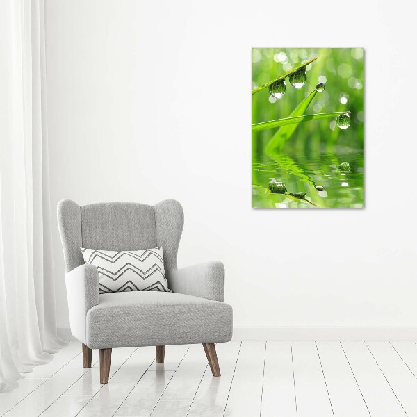 Verticale foto op canvas grassprieten