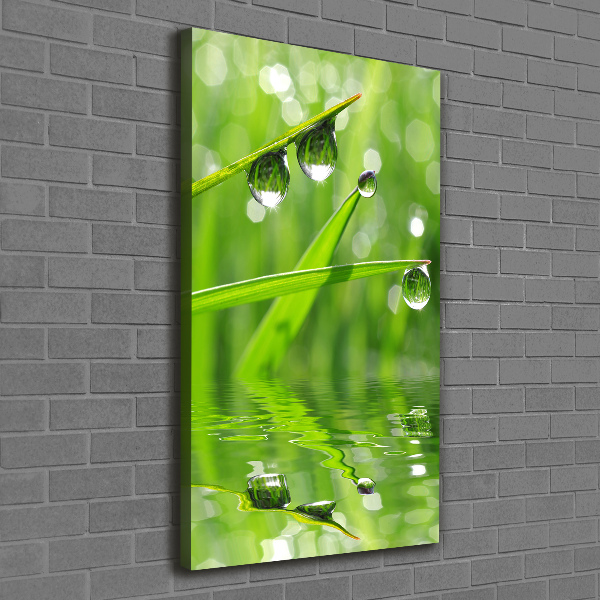 Verticale foto op canvas grassprieten