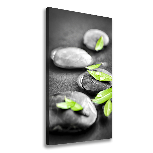 Verticale canvasfoto Bladeren zen stenen