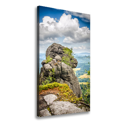 Verticale foto op canvas Szczeliniec Wielki