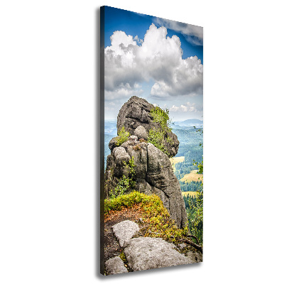 Verticale foto op canvas Szczeliniec Wielki
