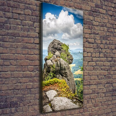 Verticale foto op canvas Szczeliniec Wielki