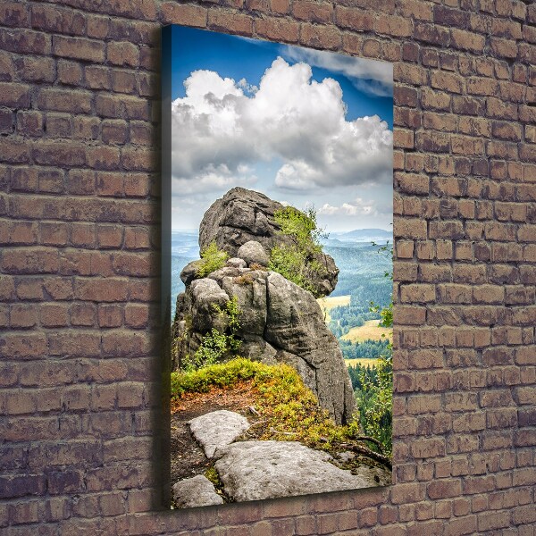 Verticale foto op canvas Szczeliniec Wielki