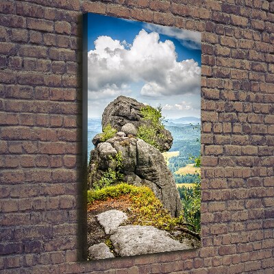 Verticale foto op canvas Szczeliniec Wielki