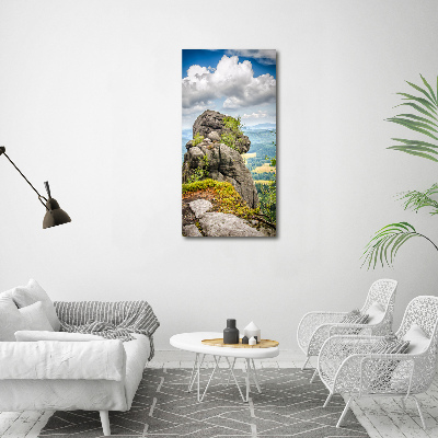 Verticale foto op canvas Szczeliniec Wielki
