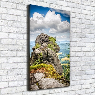 Verticale foto op canvas Szczeliniec Wielki