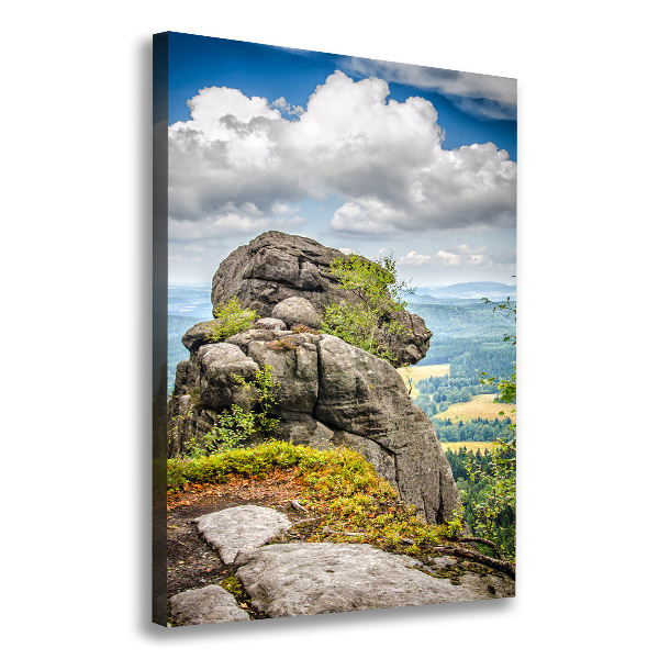 Verticale foto op canvas Szczeliniec Wielki