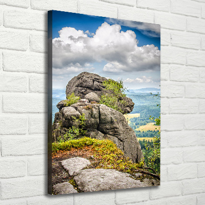 Verticale foto op canvas Szczeliniec Wielki