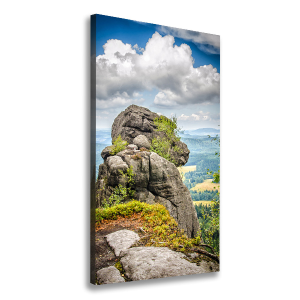 Verticale foto op canvas Szczeliniec Wielki