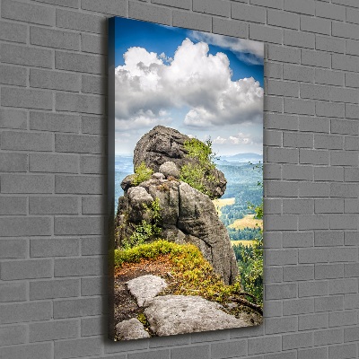 Verticale foto op canvas Szczeliniec Wielki