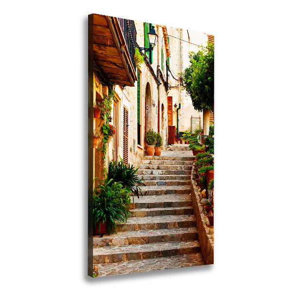 Verticale foto op canvas Straten in Spanje