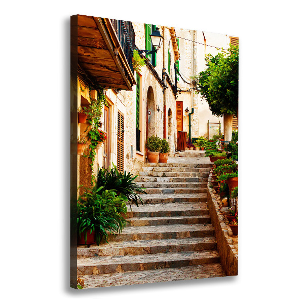 Verticale foto op canvas Straten in Spanje