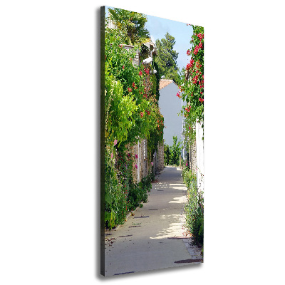 Verticaal schilderij op canvas Franse straten