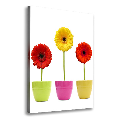Verticaal schilderij op canvas Kleurrijke gerbera's