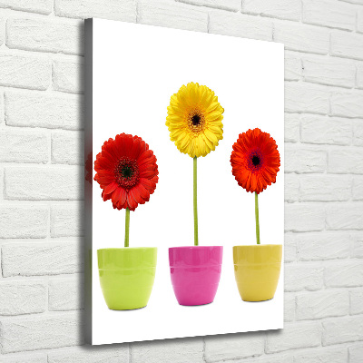 Verticaal schilderij op canvas Kleurrijke gerbera's
