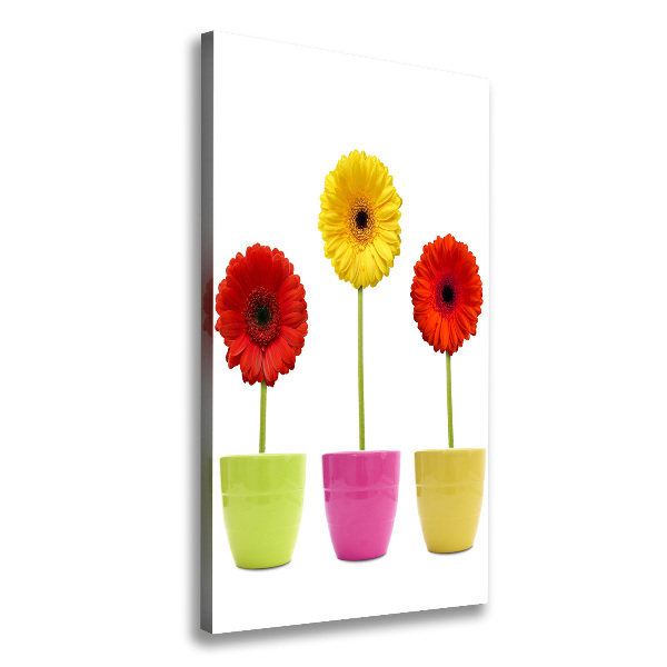 Verticaal schilderij op canvas Kleurrijke gerbera's