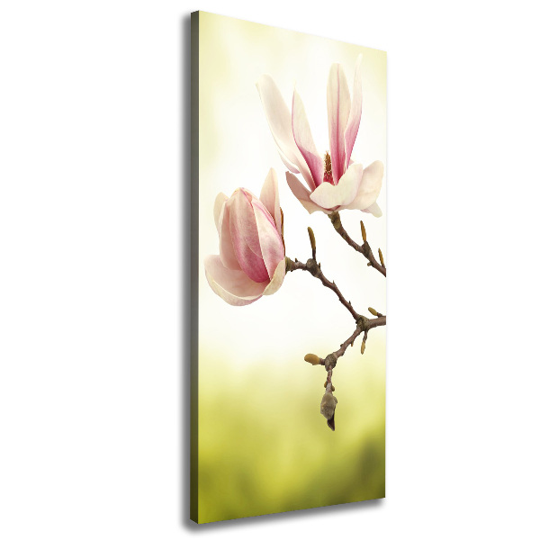 Verticale foto op canvas Magnolia bloemen