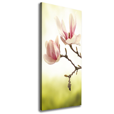 Verticale foto op canvas Magnolia bloemen