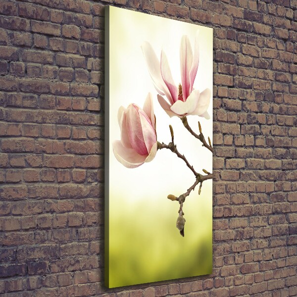 Verticale foto op canvas Magnolia bloemen
