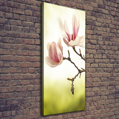 Verticale foto op canvas Magnolia bloemen